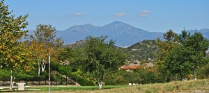 Life on the Ranch in South Orange County!